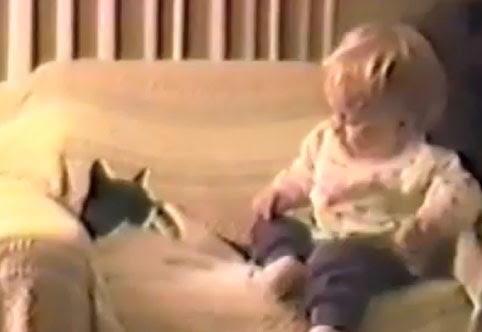 Video : どうしても赤ちゃんの靴下を脱がせたいネコ ! !