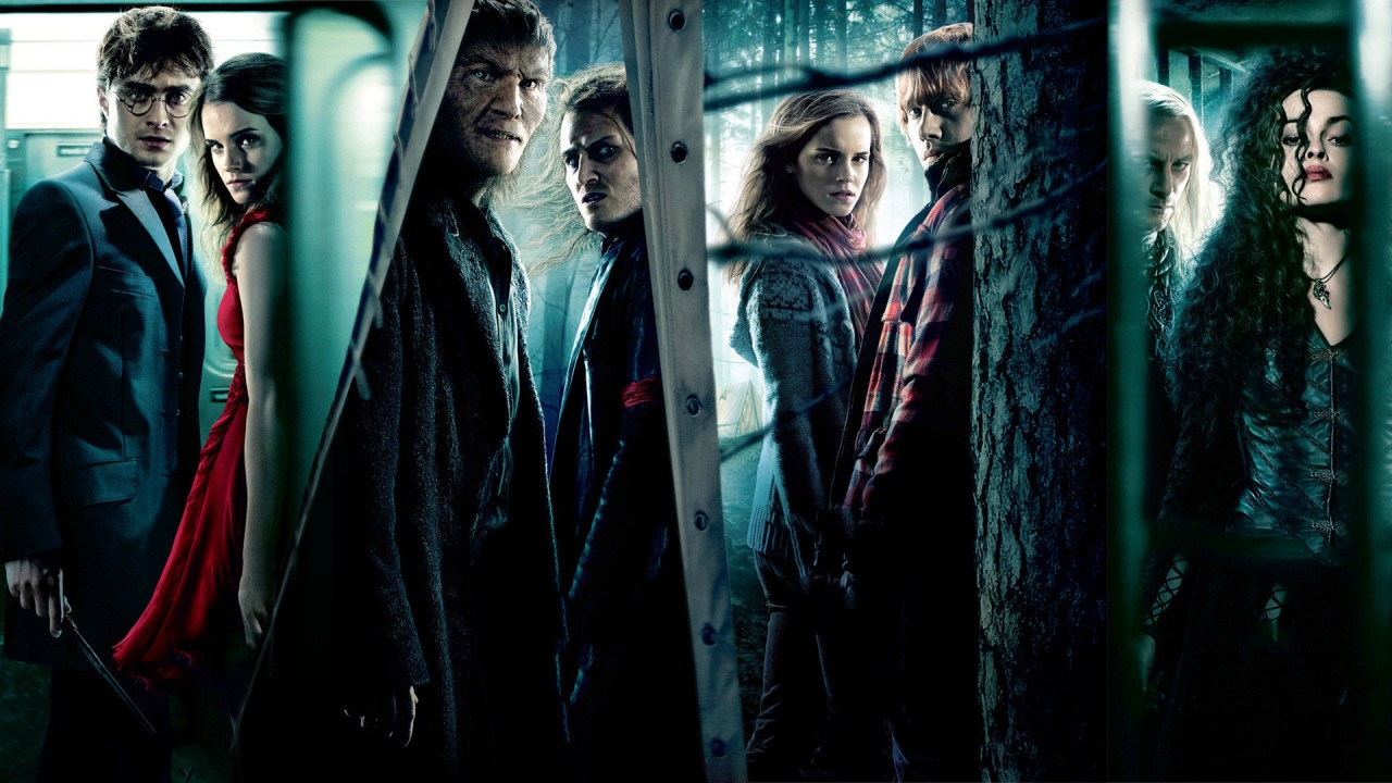 MoviE Picture Harry Potter and the Deathly Hallows Part 1 [2010]