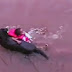 شاهد ماذا فعل هذا الكلب عندما خاف على مالكه من الغرق