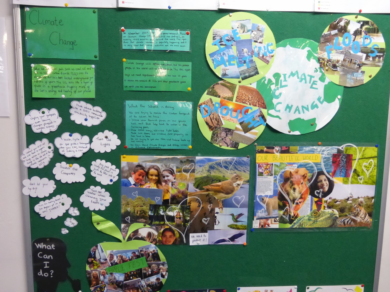 CurriEco: New Climate Change Display