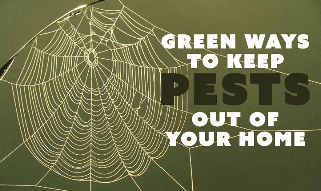 Image: Green Ways to Keep Pests Out of your Home