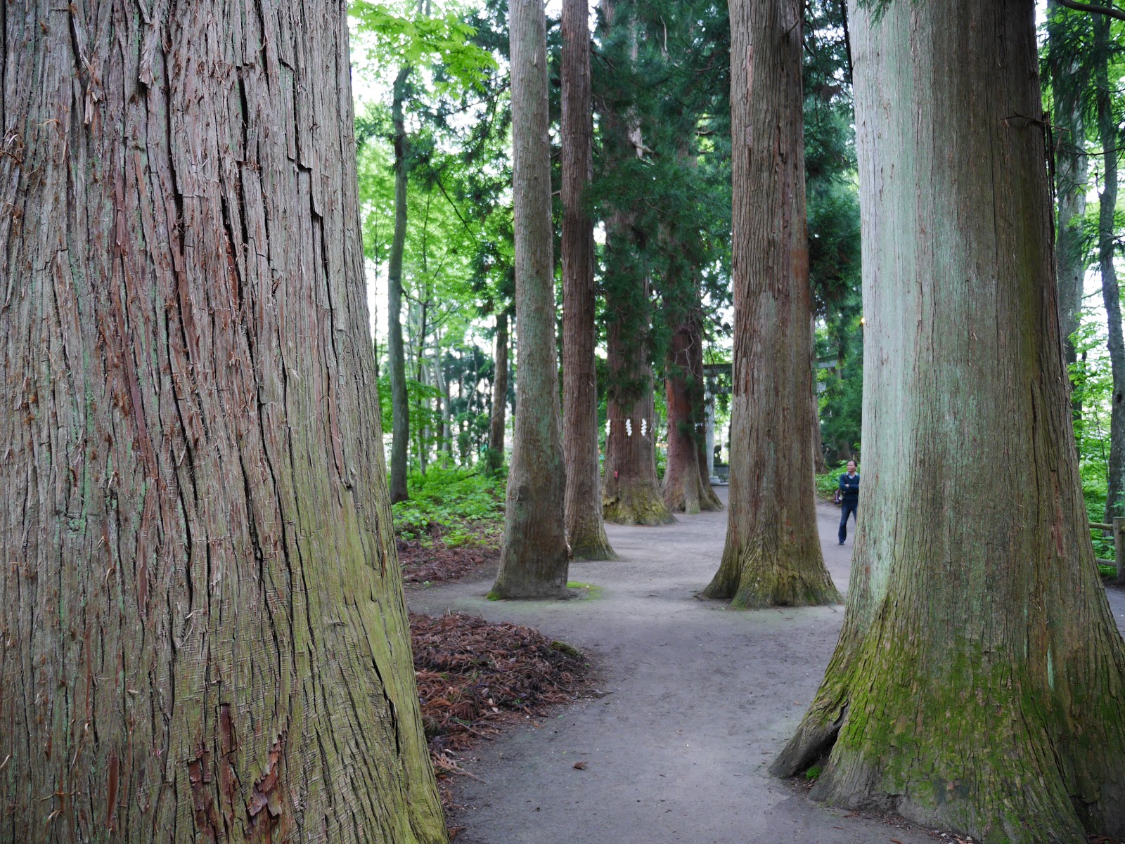 P1070444.JPG