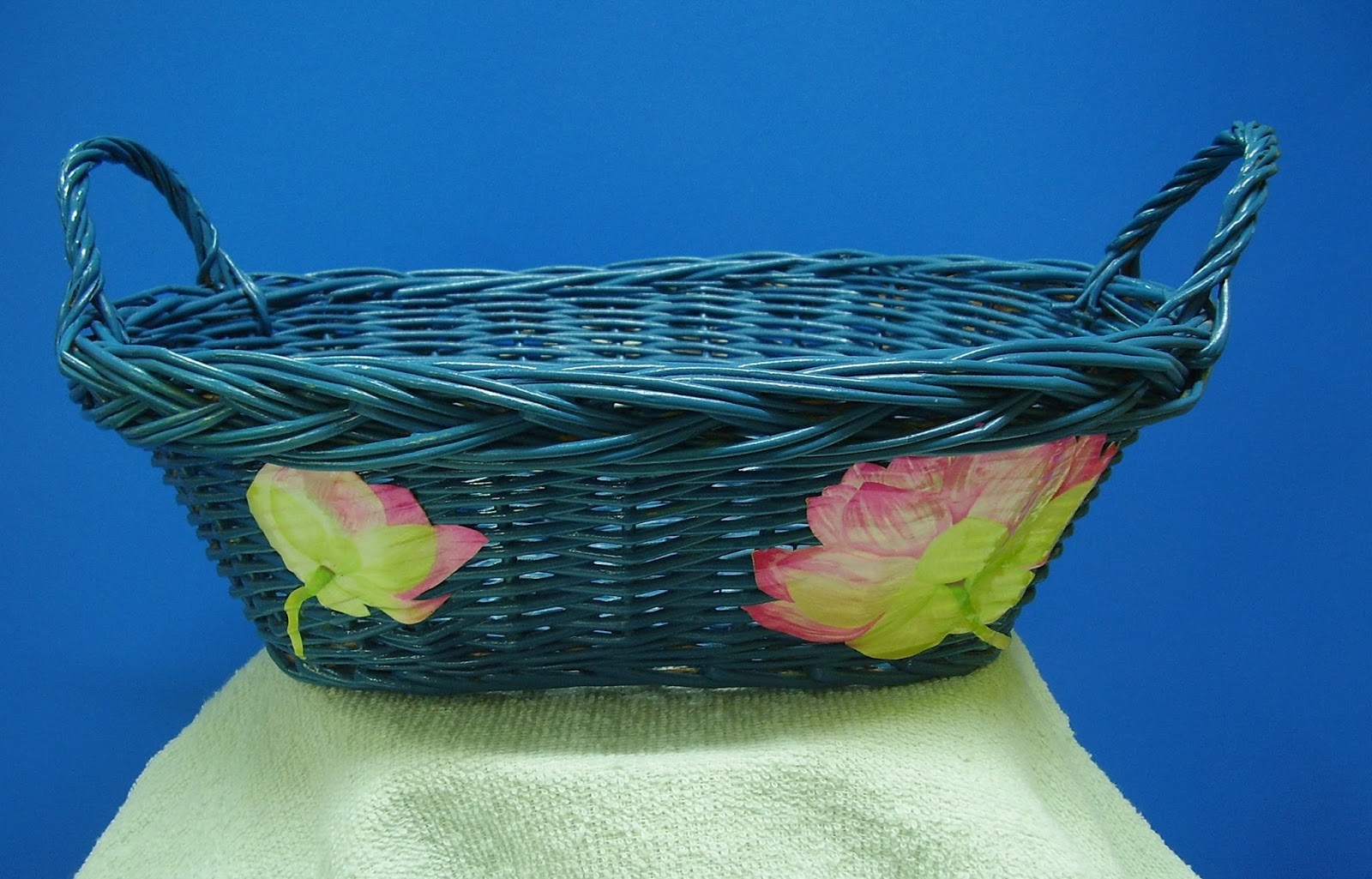 chaussure vans couleur