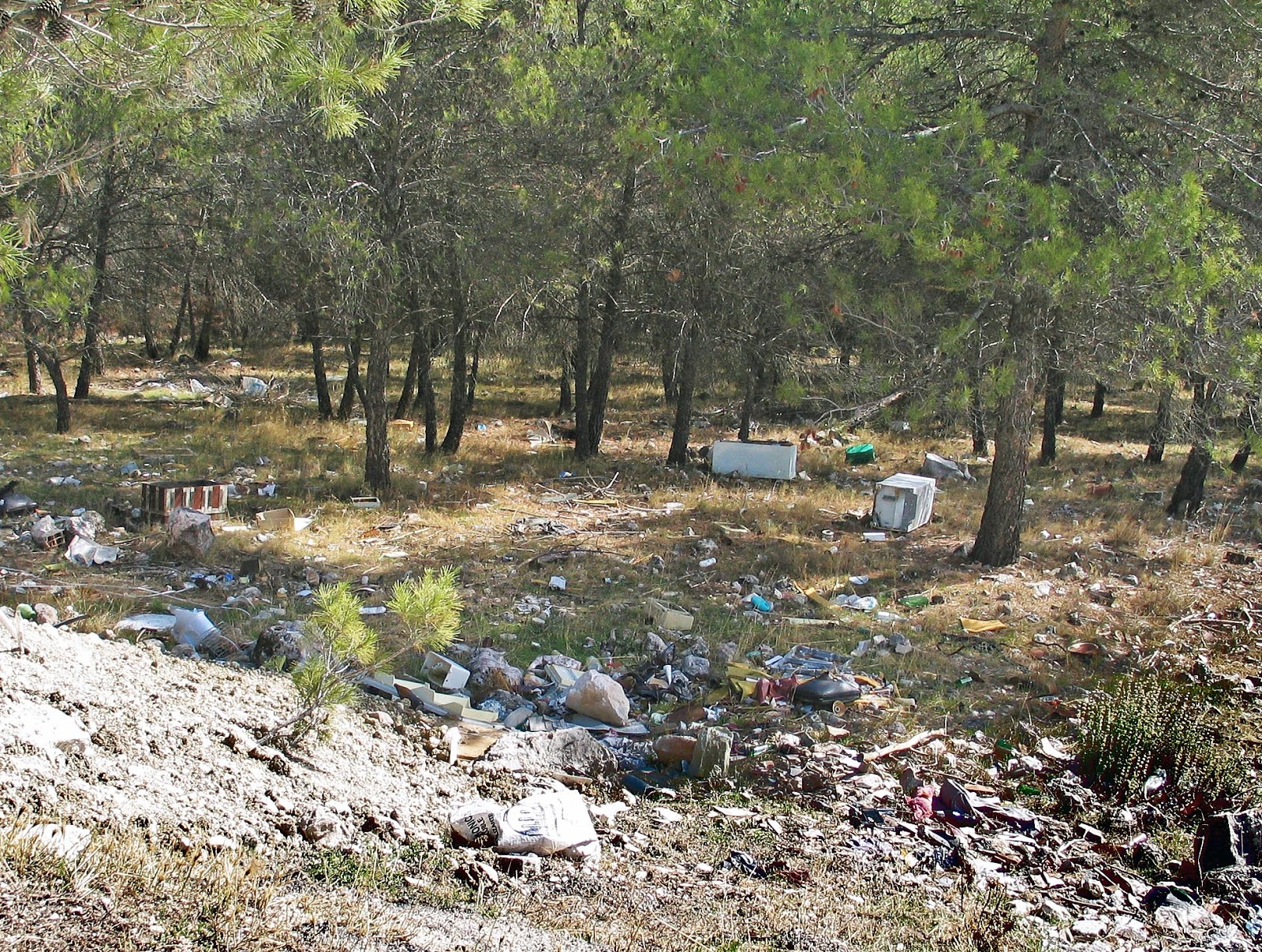 HERE WE ARE! Enviromental problems in Spain