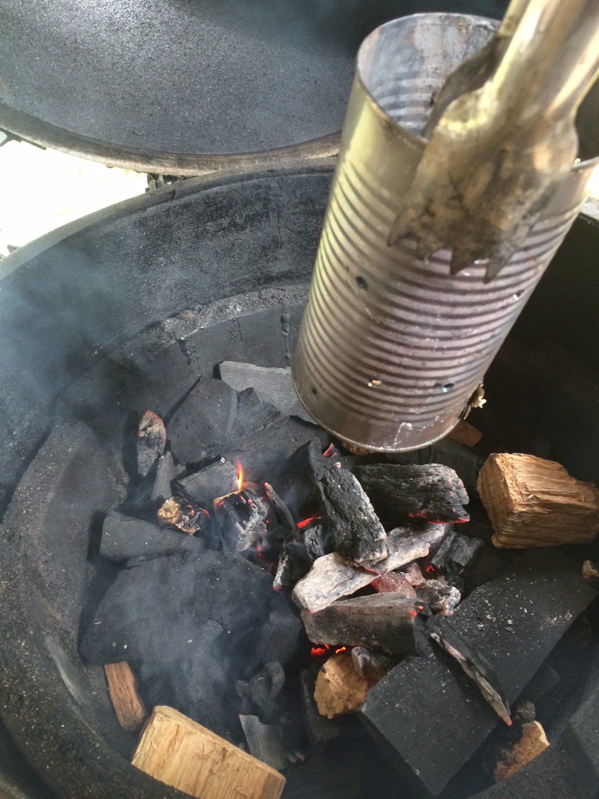 Strangely Knowledgeable How to Light a Big Green Egg Fire the Cheapest