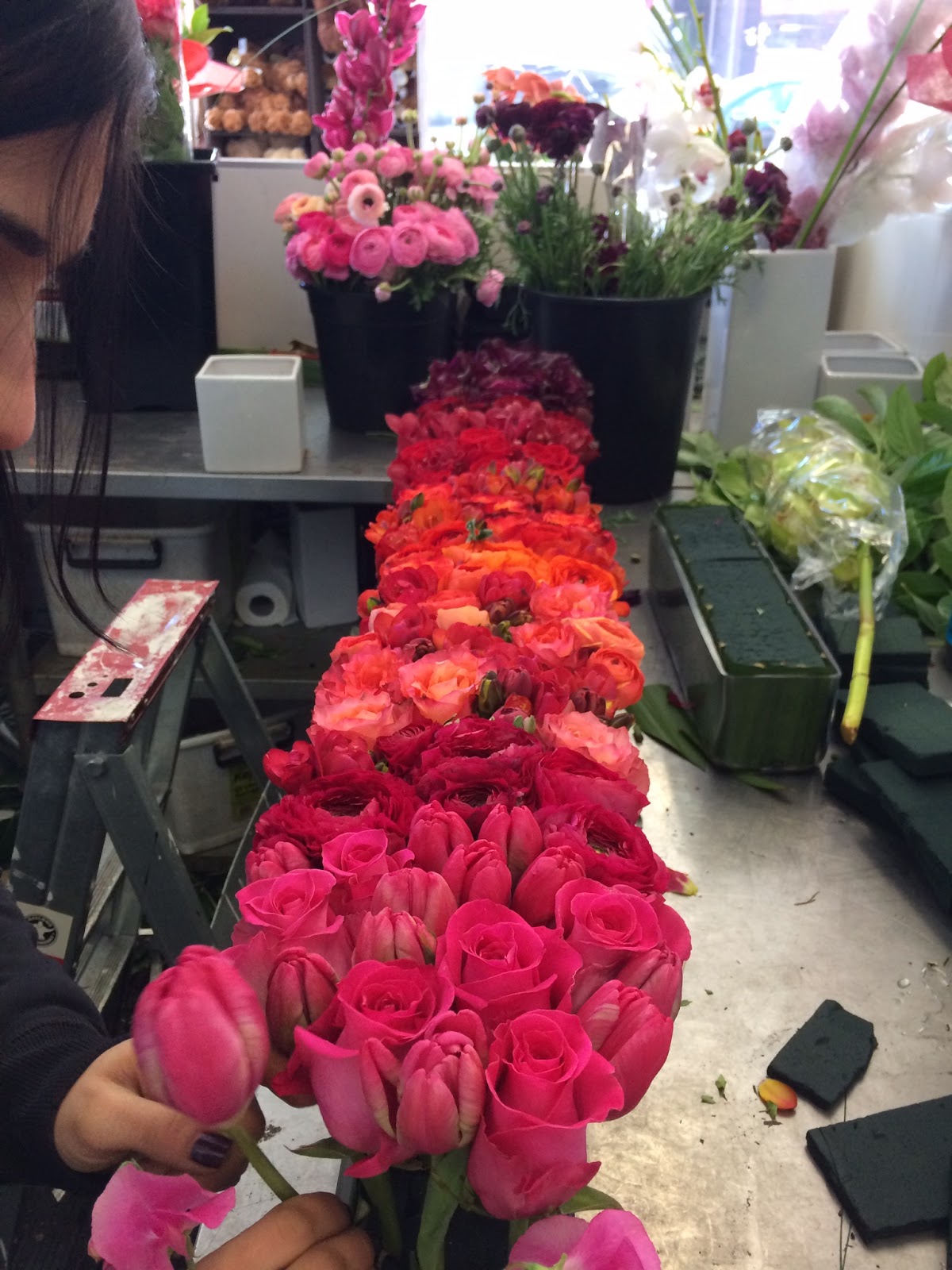 Urban Flower A Birthday Present for Urban Flower, Concord