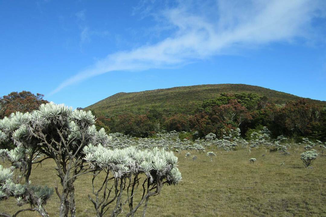 Taman Nasional Gunung Gede pangrango - Ayo Ke Cianjur