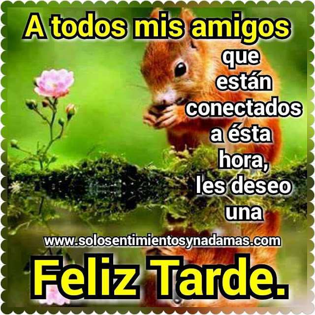 Feliz tarde.