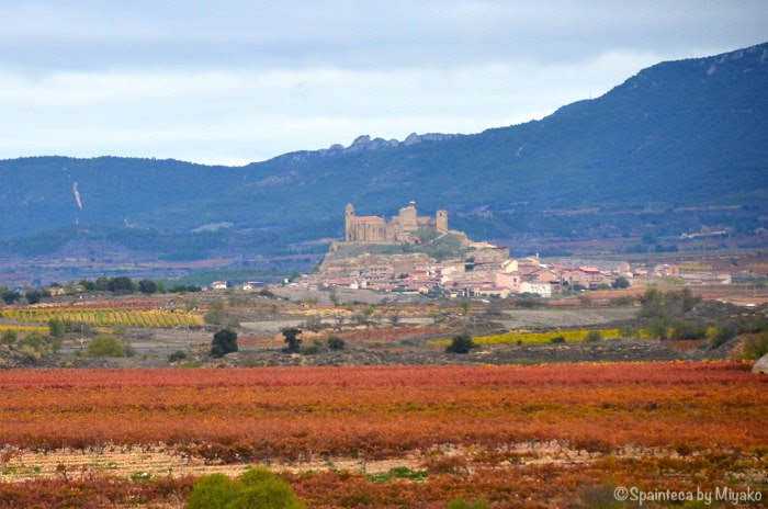 El Tren del Vino de La Rioja ワイン列車の車窓からみる北スペイン・サン・ビセンテ・デ・ラ・ソンシエラ村