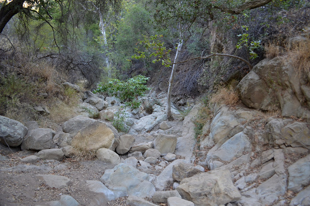 dry rocks sitting white in the shade