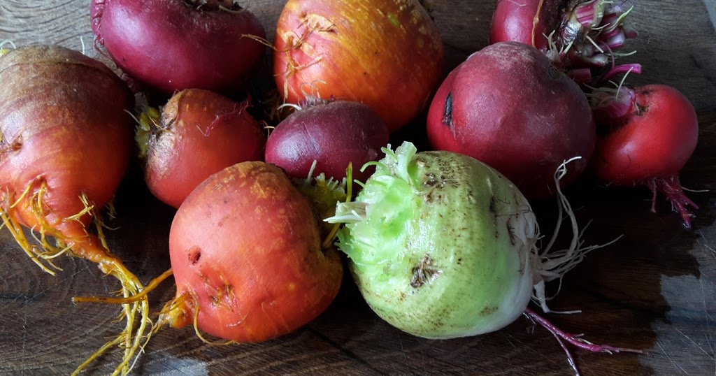 An English Homestead Interesting Beets