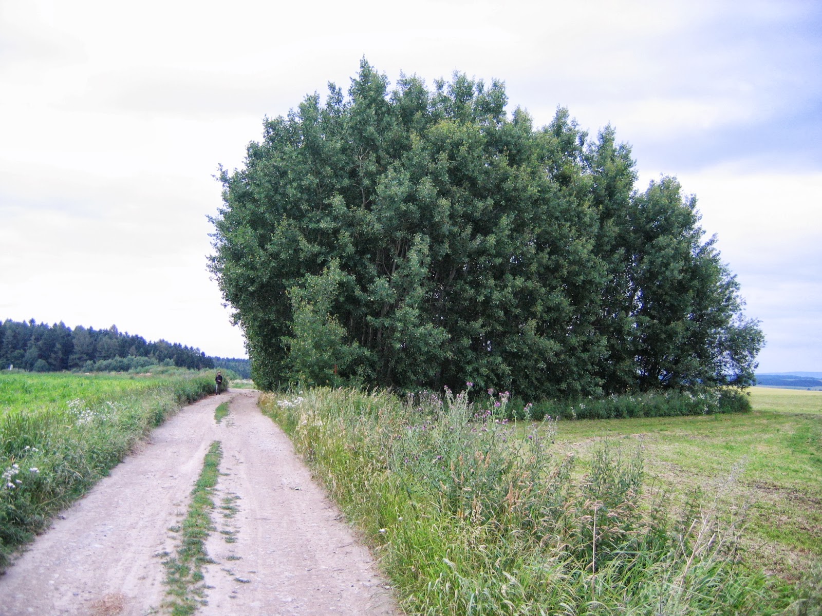 \u0160em\u00edkovi: Pr\u00e1zdninov\u00e9 st\u0159\u00edpky