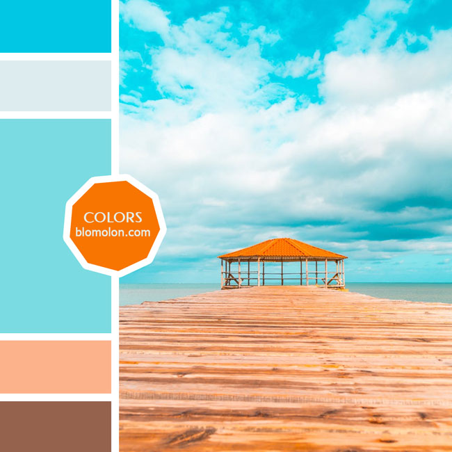variedad en color 77 variedad_en_color_moodboard_77