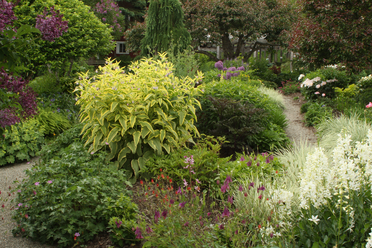 paradis express Cady's Fall Nursery in Vermont