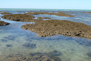 Coral platforms of Yule Reef, Port Douglas Coral platforms and filtered seawater, Yule Reef