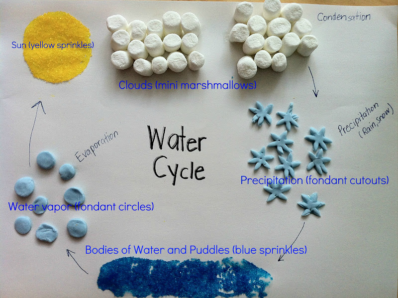water+cycle - Water Cycle For Kindergarten