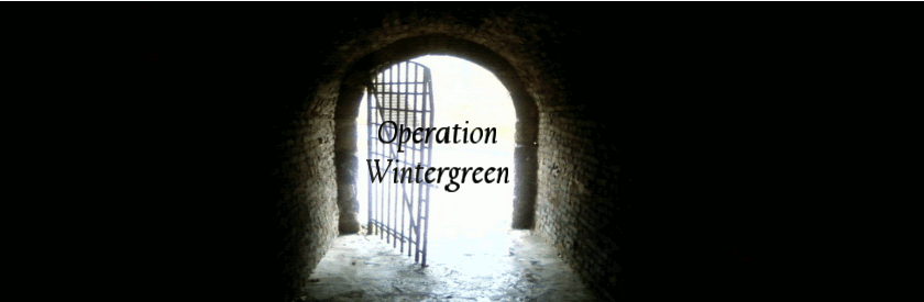 Operation Wintergreen