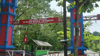 Hutan Tinjomoyo Hutan Tinjomoyo