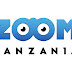Job at Zoom Tanzania, Sales Executive - Services & Fundi