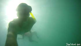 gopro, underwater, snorkeling, ocean