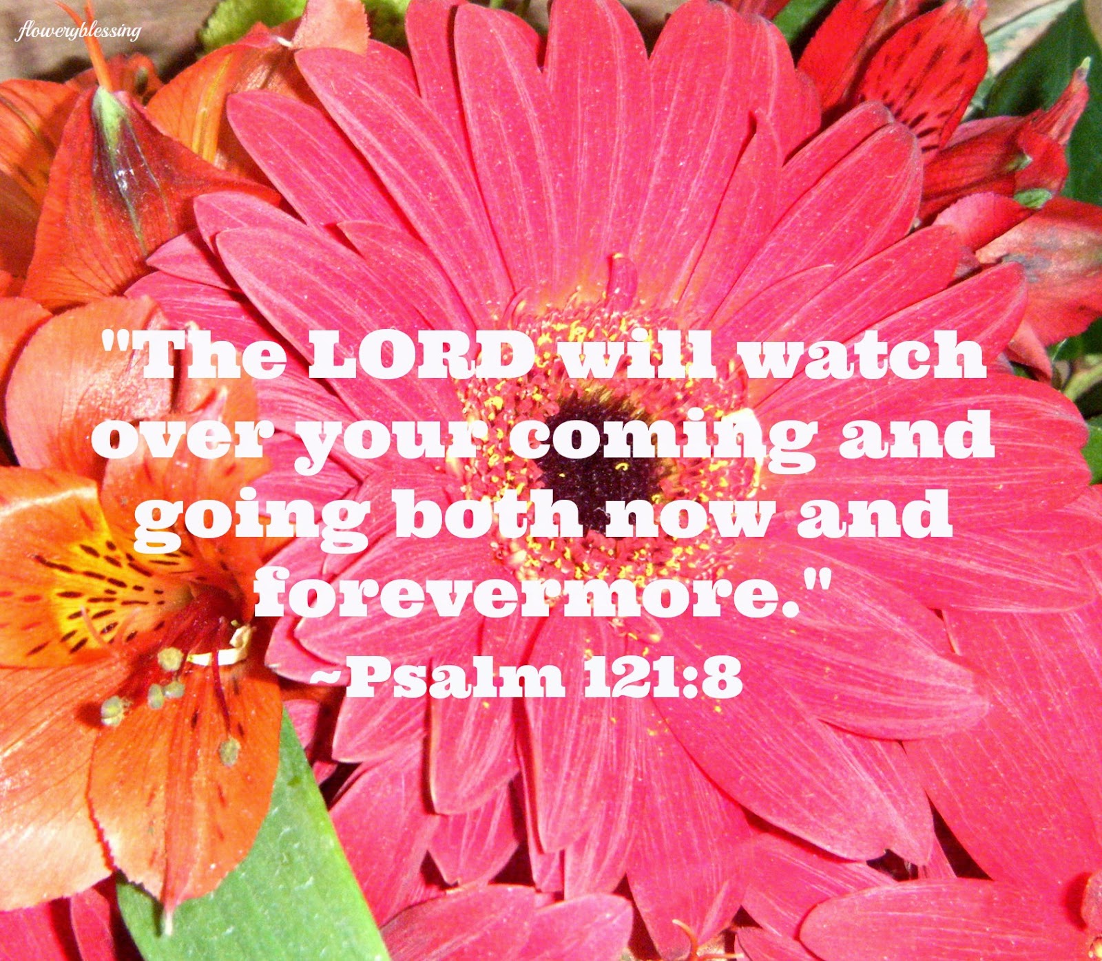flowery-blessing-the-lord-will-watch-over-your-coming-and-going-both