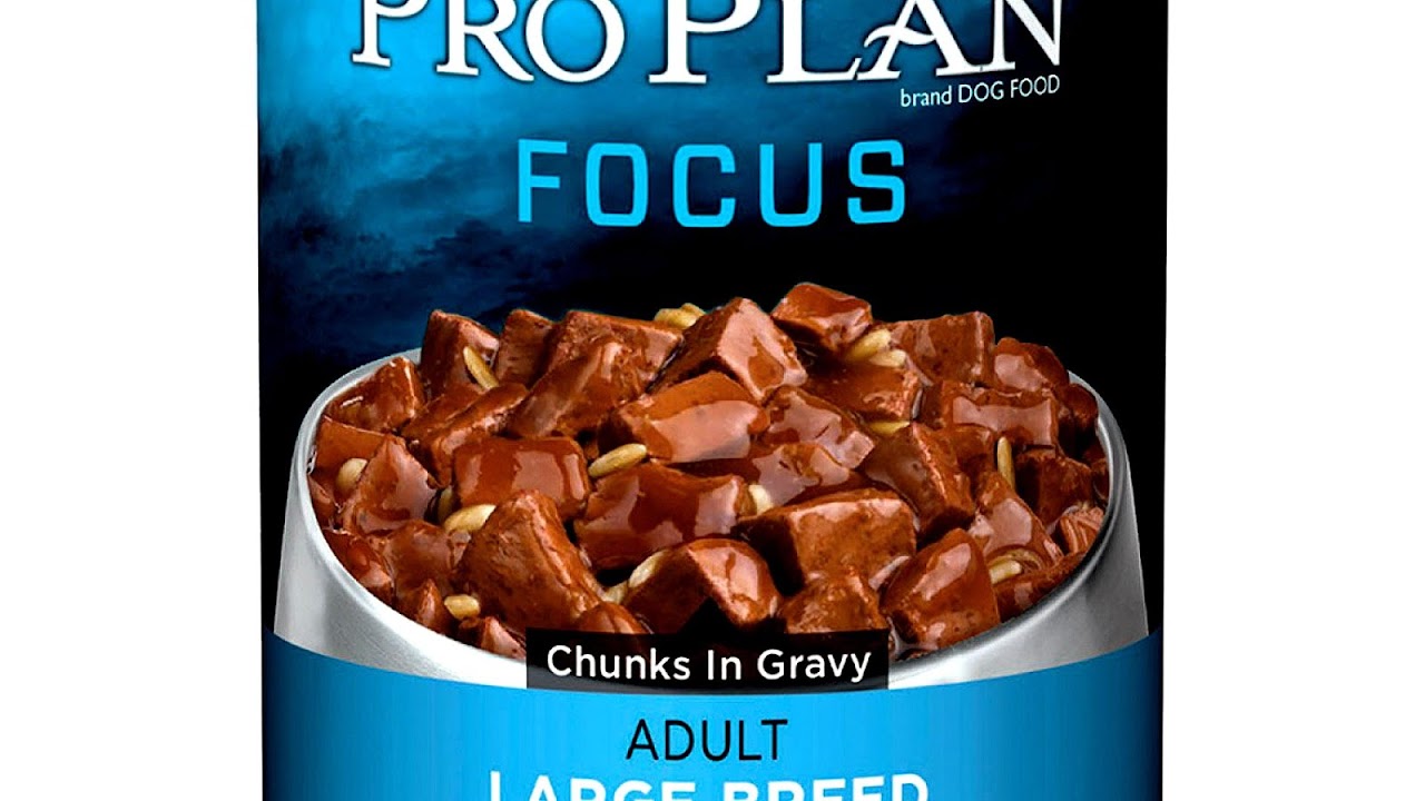 Large Cans Of Cat Food Cat Choices