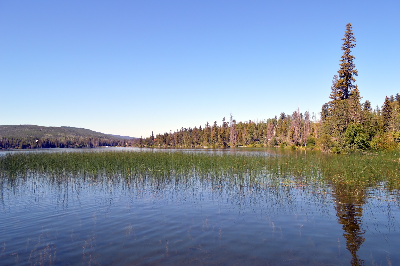 Footloose Lac Le Jeune British Columbia, between Merritt and Kamloops