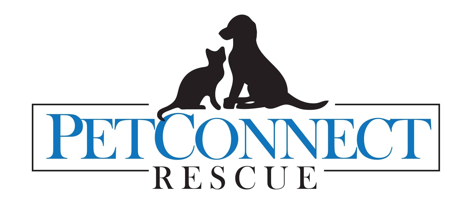 The Loudoun Pet Sitting Company Professional Pet Sitting & Dog Walking