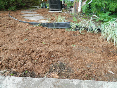 Paul Jung Gardening Services--a Toronto Organic Garden Company Riverdale Frontyard Garden Cleanup After Paul Jung Gardening Services--a Toronto Organic Garden Company Riverdale Frontyard Garden Cleanup After