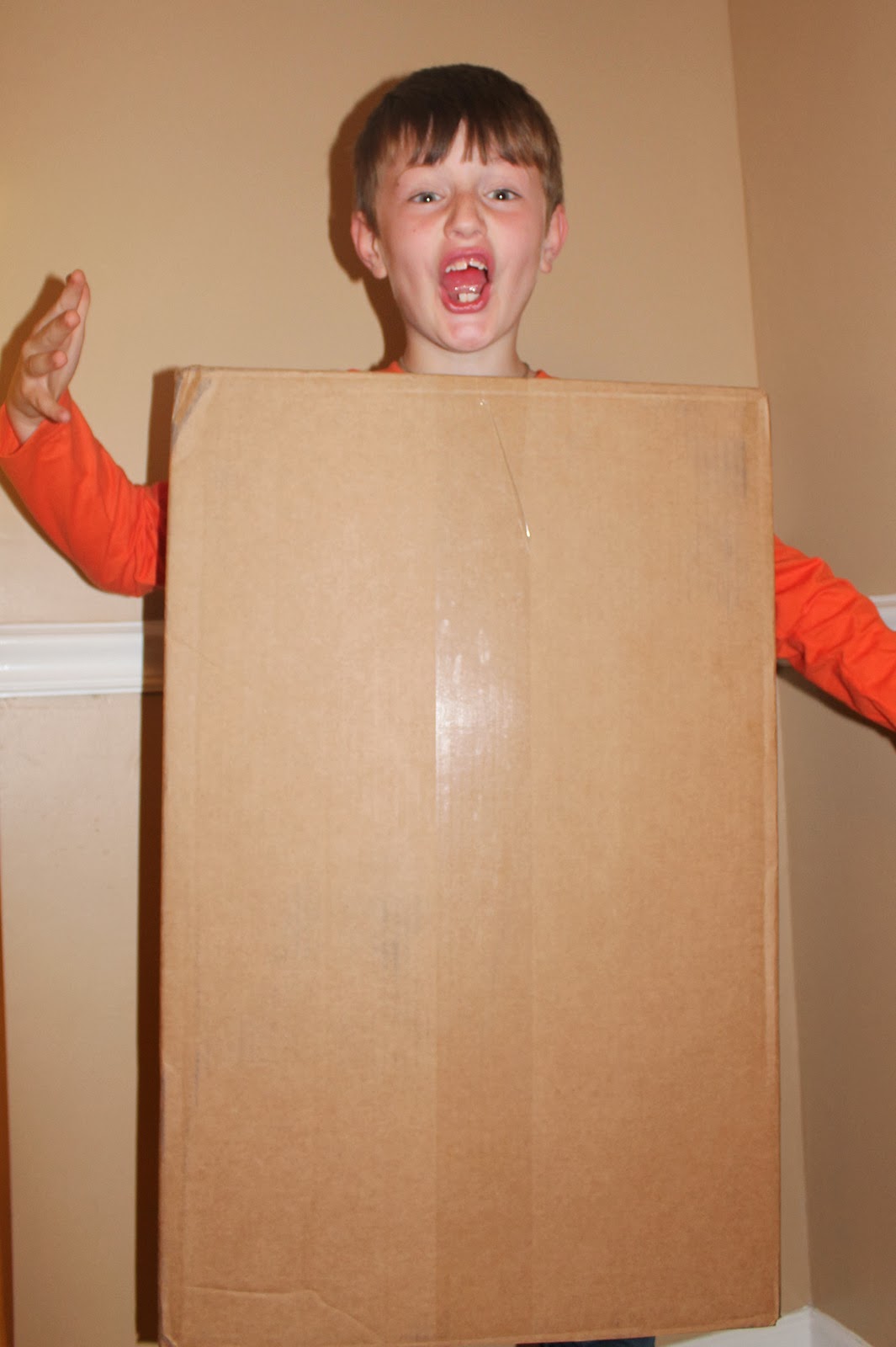 The Harris Sisters DIY Juice Box Halloween Costume