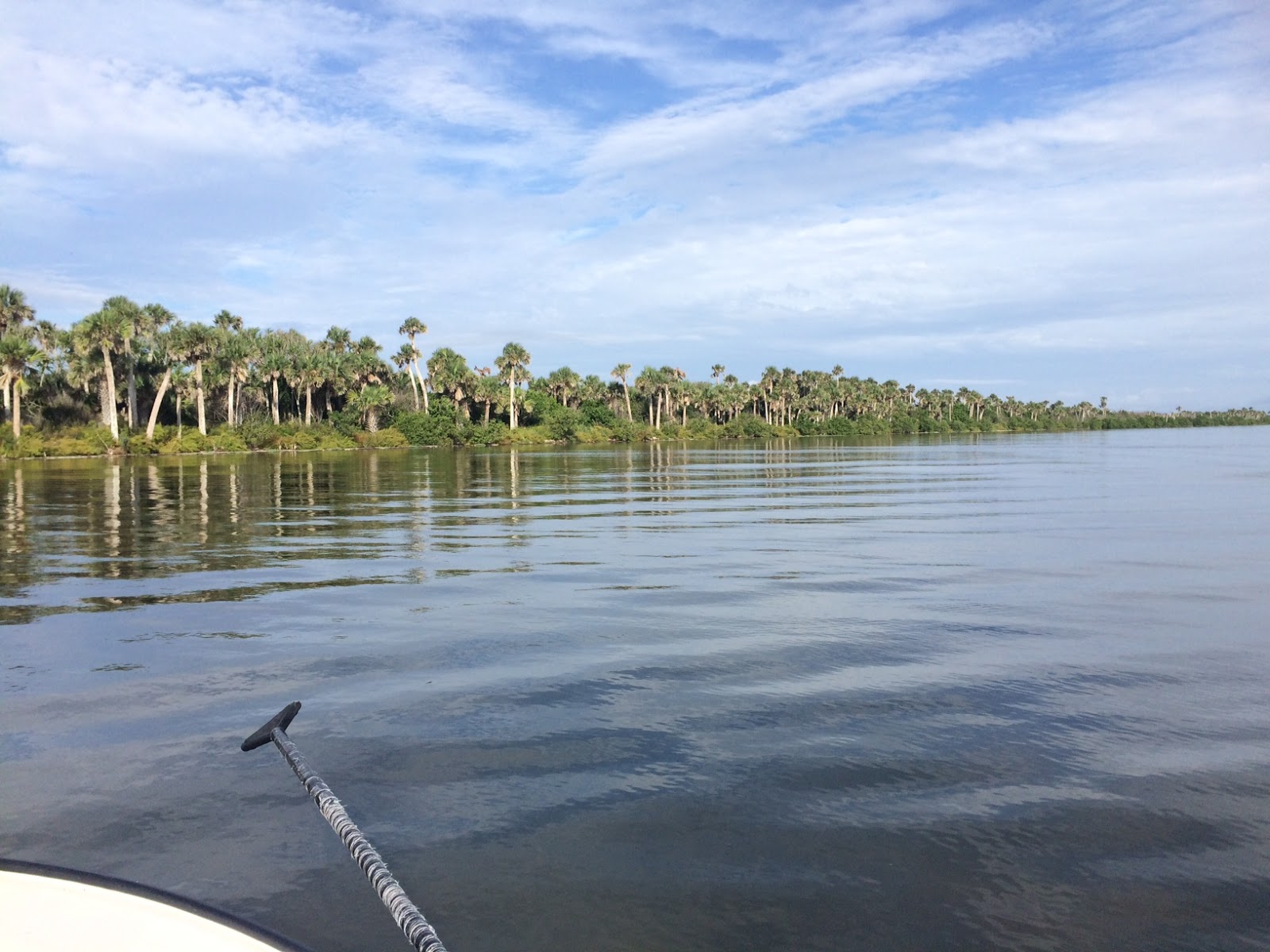 Larry's Take on the Cocoa Beach Real Estate Market 201708