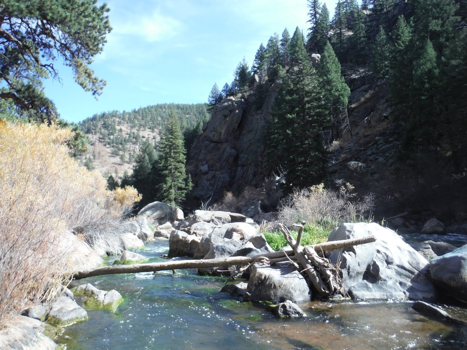 Caca-niqueis gratuitos online Slots Angels