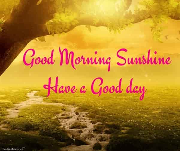 Featured image of post Good Morning Sunshine Quotes For Him : Have a look at these good morning quotes for him.