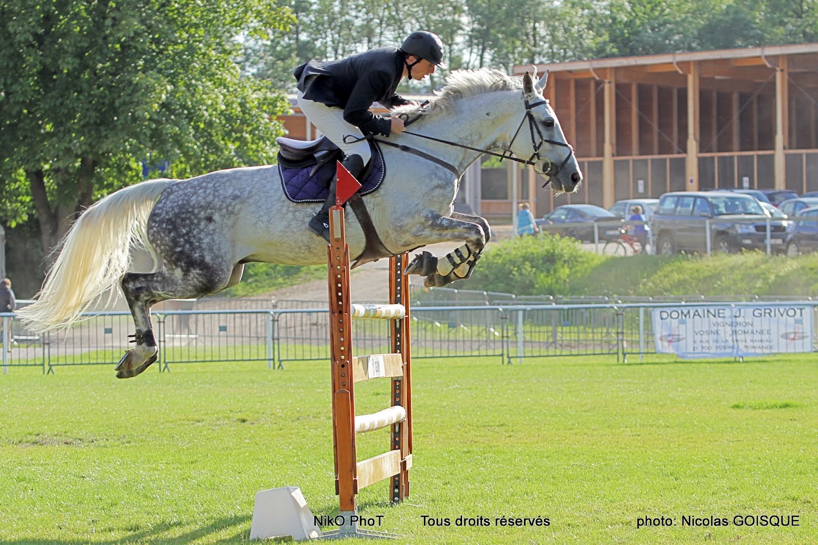 NikoPhot Sport équitation sauts d'obstacles, grand prix de la ville de Dijon à l'étrier de