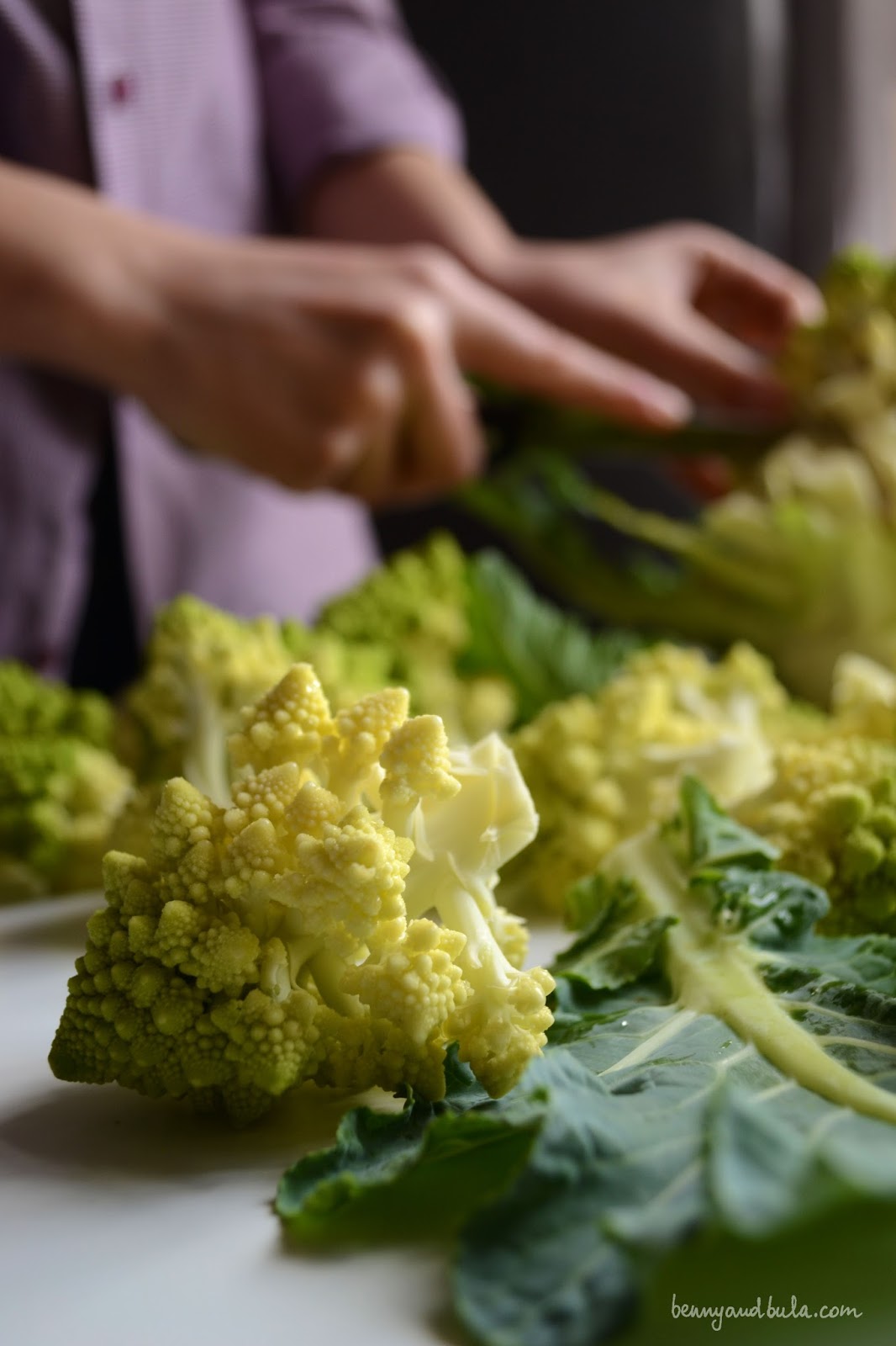 ricetta orecchiette broccolo romanesco e vongole/ roman broccolo and clams pasta recipe