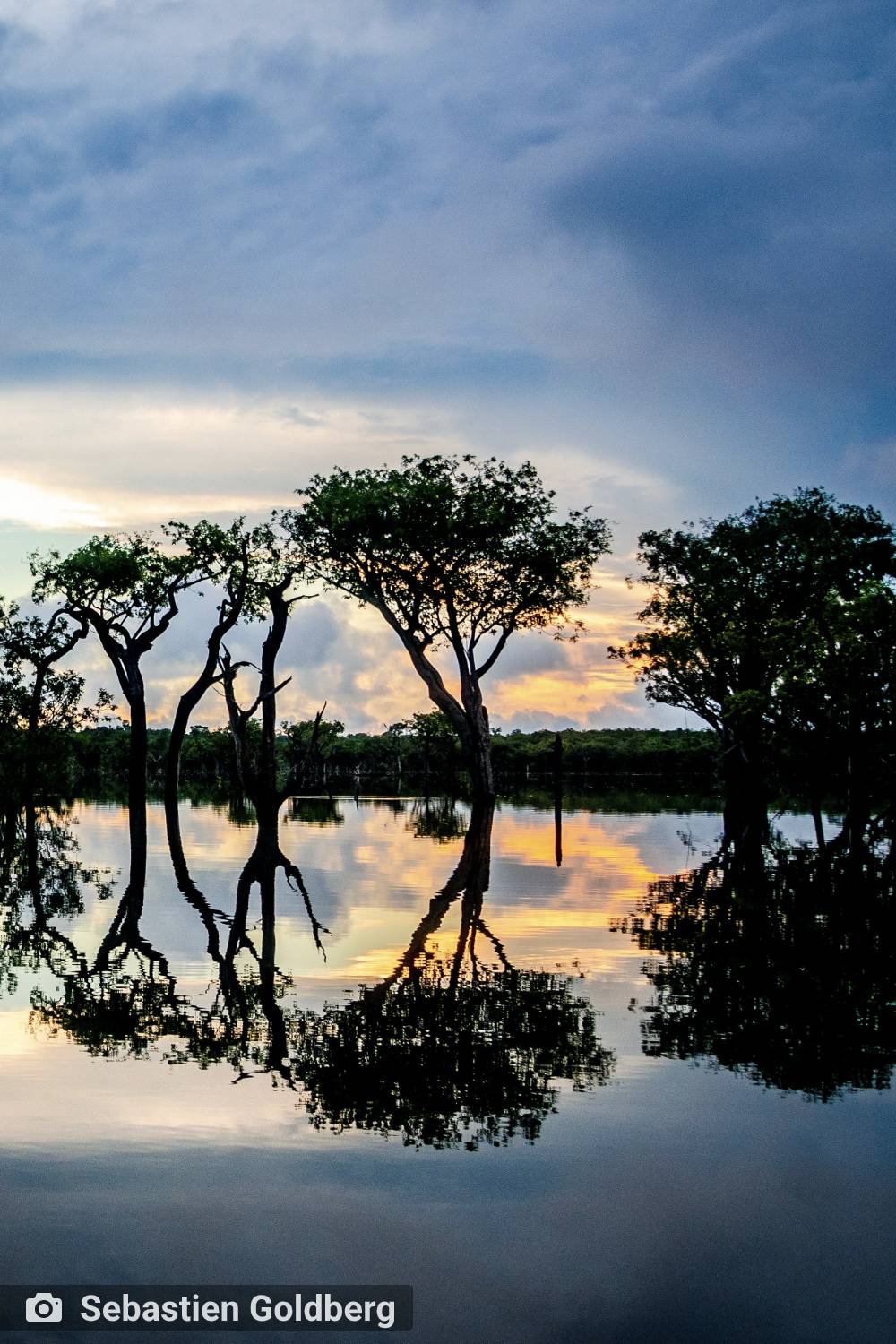 ambiente de leitura carlos romero cronica poesia literatura paraibana gonzaga rodrigues amazonia incendio pantanal desprezo meio ambiente devastacao floresta amazonica