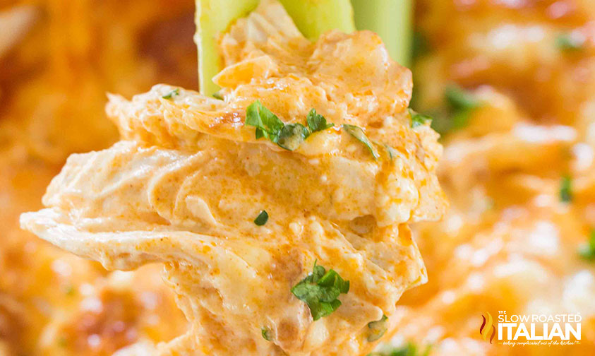 Italian Food Buffalo Chicken Dip (VIDEO)