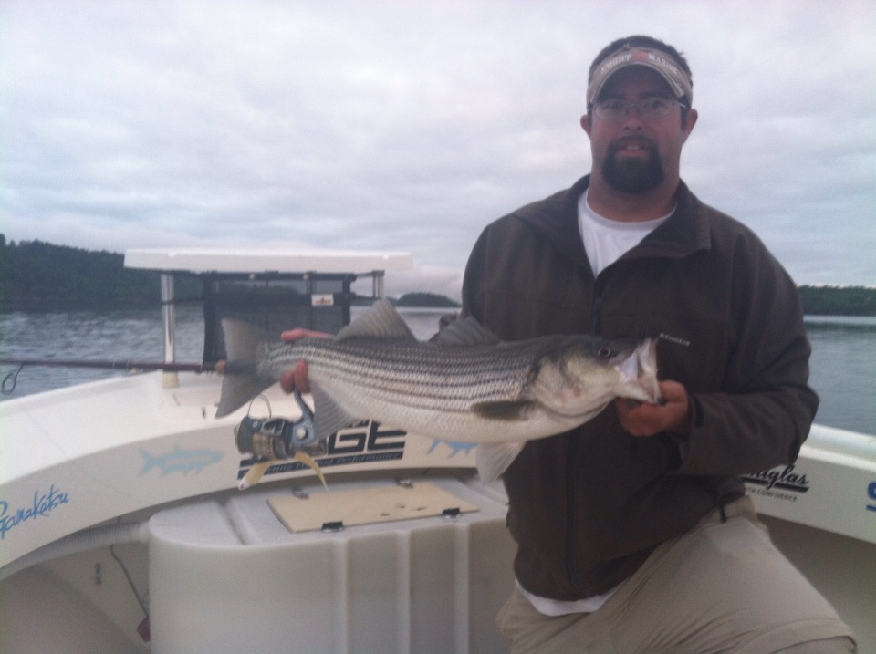 Maine Striper Fishing Charters & Reports Hotline 2076910745 Maine
