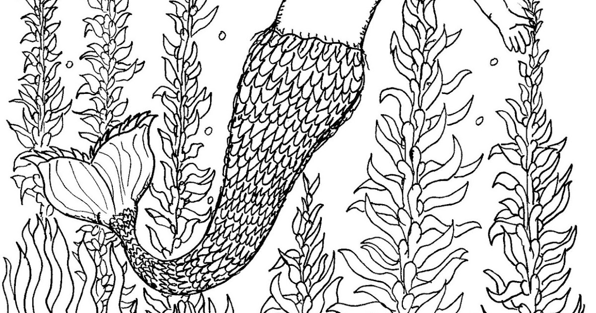 Robin S Great Coloring Pages Mermaid In Kelp Forest