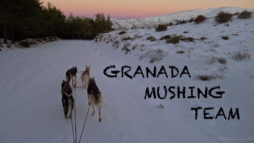 Granada Mushing