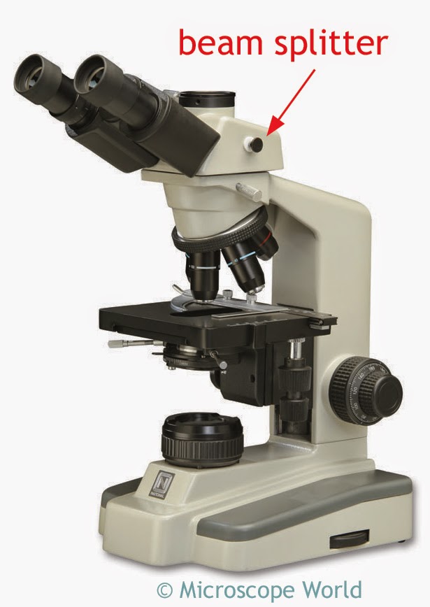 Microscope beam splitter sends light to the microscope camera.