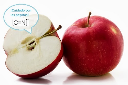 semilla de fruta que contiene cianuro