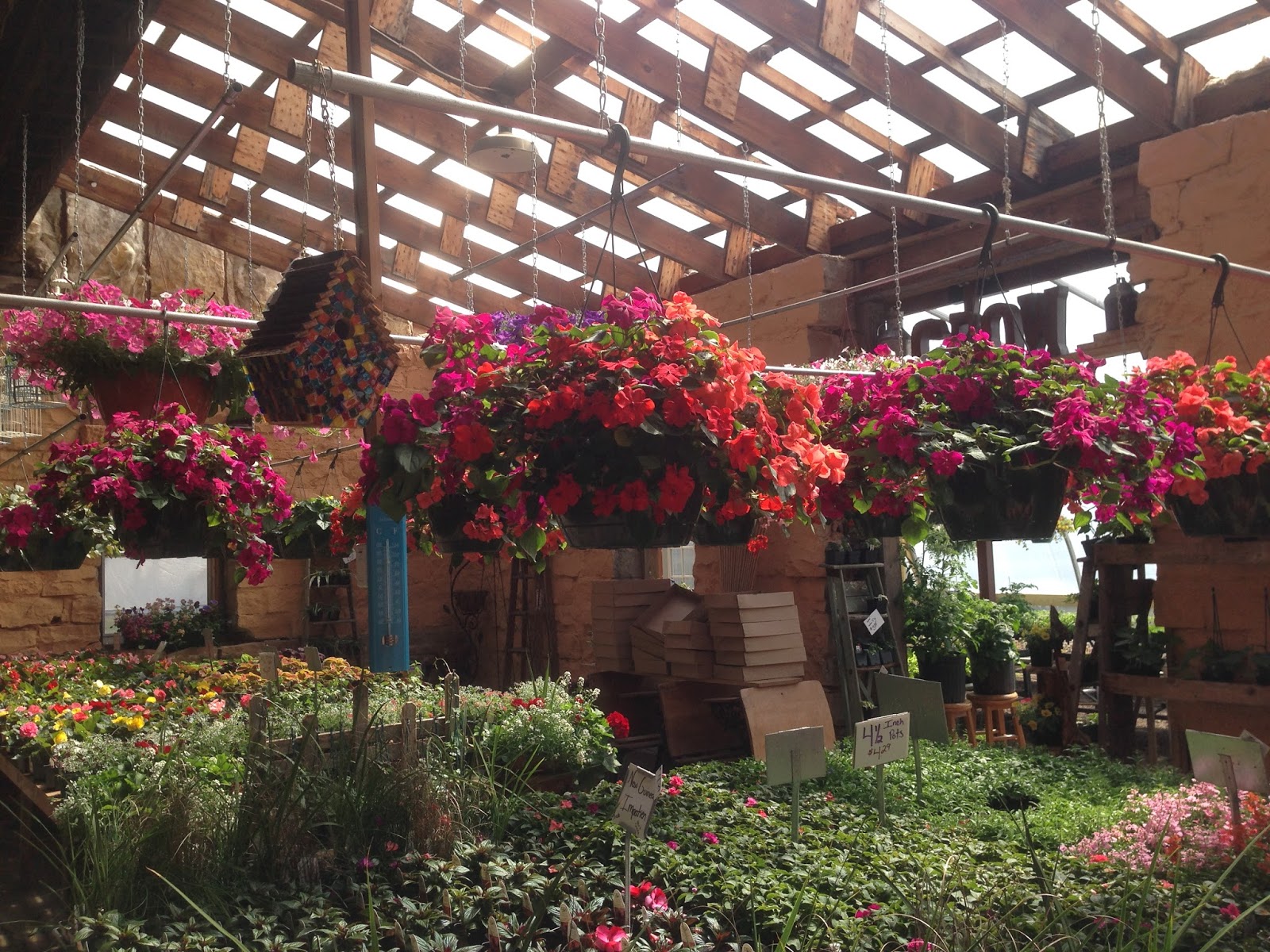 Food Write The Secret Greenhouse (Sandstone, MN)