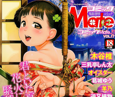 COMIC Mate Legend Vol.17 raw zip dl