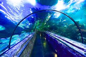 SeaWorld Indonesia, Ancol Jakarta SeaWorld Indonesia, Ancol Jakarta