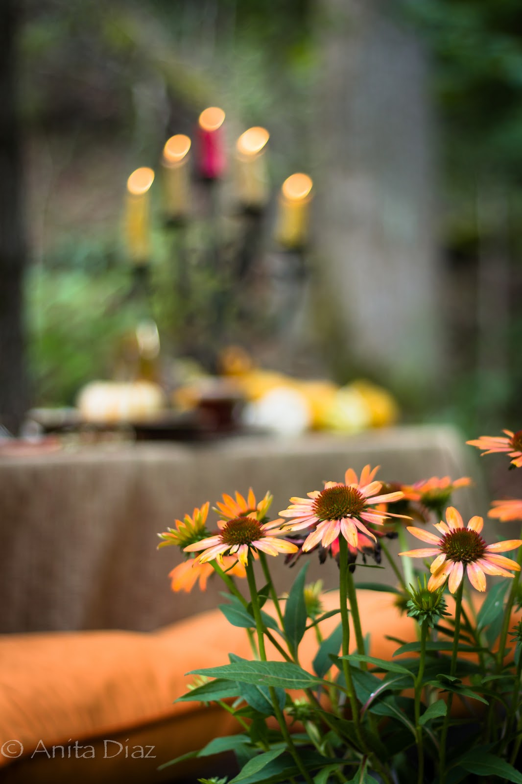 Autumn dining alfresco