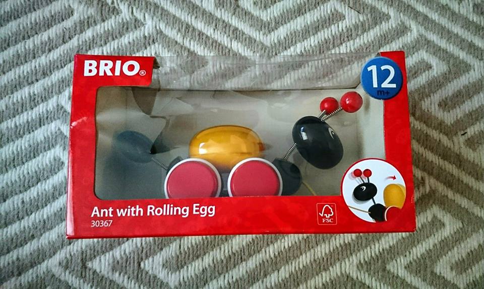 brio ant