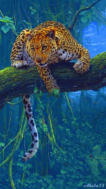 Animated+Leopard.gif