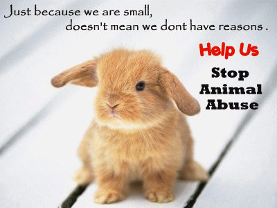 Animal+Abuse.gif