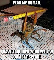 Funny Lobster Holding Human Pencil | Humor Quotes